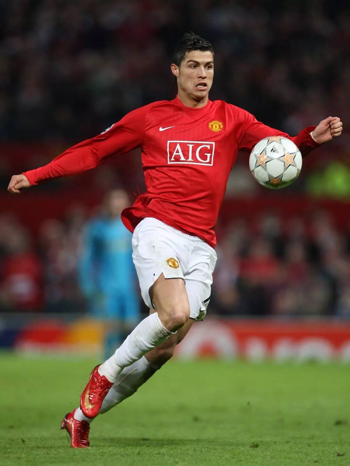 入了更多环 入了更多环